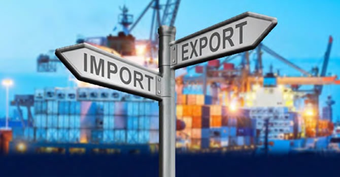 Búsqueda de Importador y Exportador.